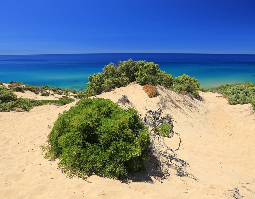 Piscinas Cosa Vedere E Informazioni Utili Toucan Travel Piscinas Cosa Vedere E Informazioni Utili Toucan Travel